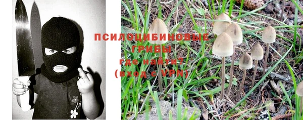 каннабис Алексеевка